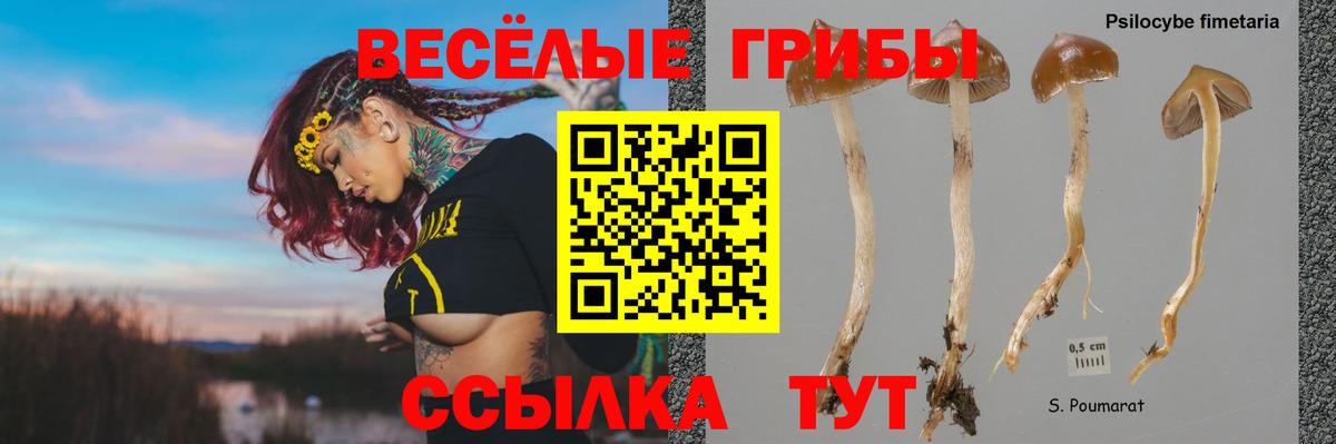 как найти   Вход с VPN  Йошкар-Ола  Галлюциногенные грибы мицелий 